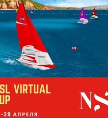Three col nsl virtual cup cr