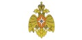 Thumb small 800px great emblem of the russian ministry of emergency situations 2