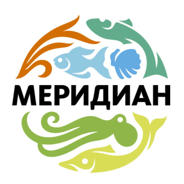 Full logo meridian krug